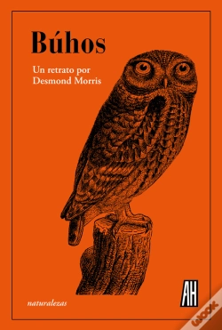Capa do artigo Búhos