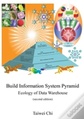 Build Information System Pyramid