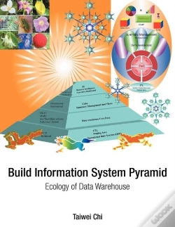 Capa do artigo Build Information System Pyramid