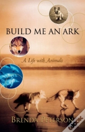 Capa do artigo Build Me An Ark