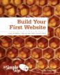 Build Your First Website In Simple Steps - Preview