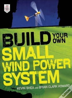Capa do artigo Build Your Own Small Wind Power System