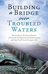 Building A Bridge Over Troubled Waters