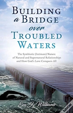 Capa do artigo Building A Bridge Over Troubled Waters