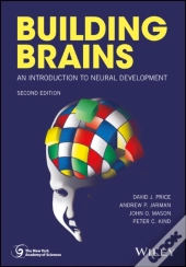 Building Brains