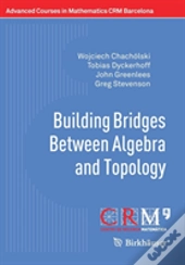 Building Bridges Between Algebra And Topology