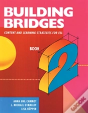 Capa do artigo Building Bridges/Level 2