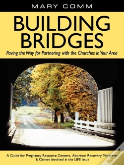 Capa do artigo Building Bridges