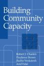 Building Community Capacity - Preview
