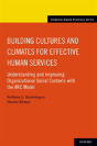Building Cultures And Climates For Effective Human Services - Preview