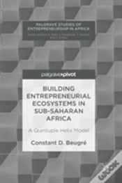 Capa do artigo Building Entrepreneurial Ecosystems In Sub-Saharan Africa