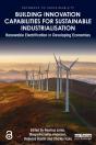 Building Innovation Capabilities For Sustainable Industrialisation - Preview