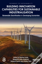 Capa do artigo Building Innovation Capabilities For Sustainable Industrialisation