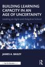 Building Learning Capacity In An Age Of Uncertainty - Preview