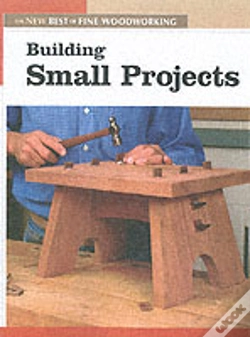 Capa do artigo Building Small Projects