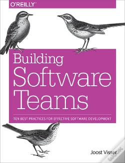 Capa do artigo Building Software Teams