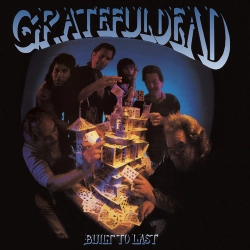 Capa do artigo Built to Last - Vinil