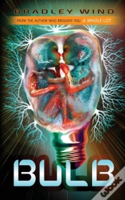 Capa do artigo Bulb