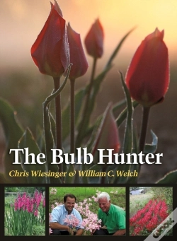 Capa do artigo Bulb Hunter