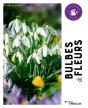 Bulbes À Fleurs - Preview