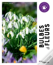 Capa do artigo Bulbes À Fleurs