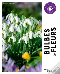 Capa do artigo Bulbes À Fleurs