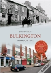 Capa do artigo Bulkington Through Time