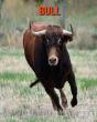 Bull - Preview