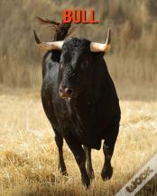 Bull