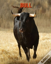 Capa do artigo Bull