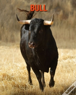 Capa do artigo Bull