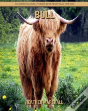 Capa do artigo Bull
