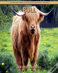 Capa do artigo Bull
