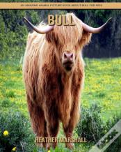 Bull