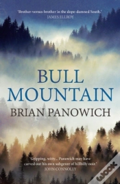 Capa do artigo Bull Mountain