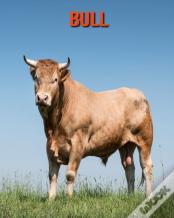 Bull