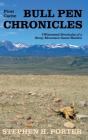 Bull Pen Chronicles - Preview