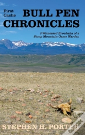 Capa do artigo Bull Pen Chronicles