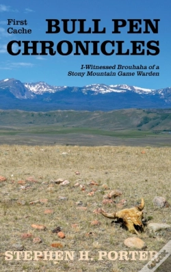 Capa do artigo Bull Pen Chronicles