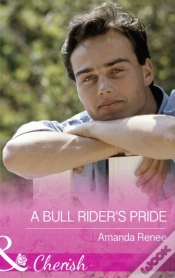 Capa do artigo Bull Rider