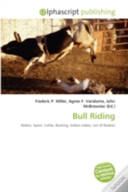 Capa do artigo Bull Riding