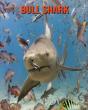 Bull Shark - Preview