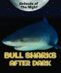Bull Sharks After Dark - Preview