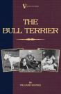 Bull Terrier - Preview