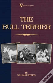Capa do artigo Bull Terrier