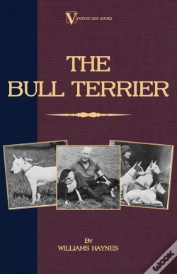 Capa do artigo Bull Terrier