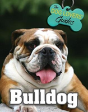 Bulldog - Preview