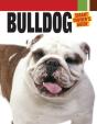 Bulldog - Preview