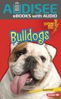 Bulldogs - Preview