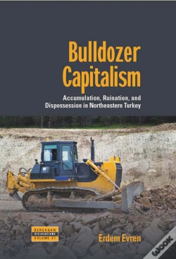 Capa do artigo Bulldozer Capitalism